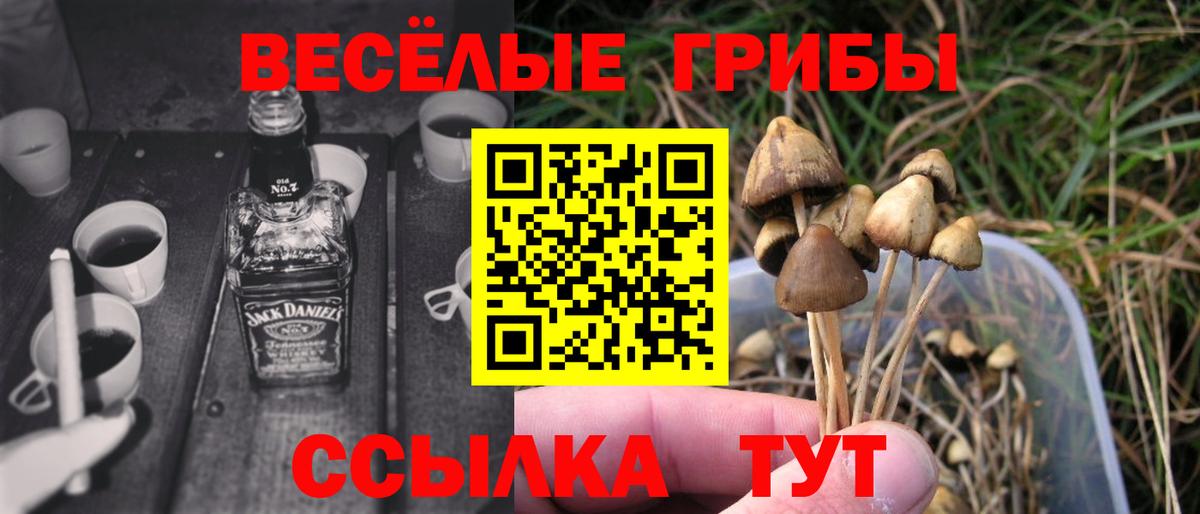 Псилоцибиновые грибы MAGIC MUSHROOMS Кемерово